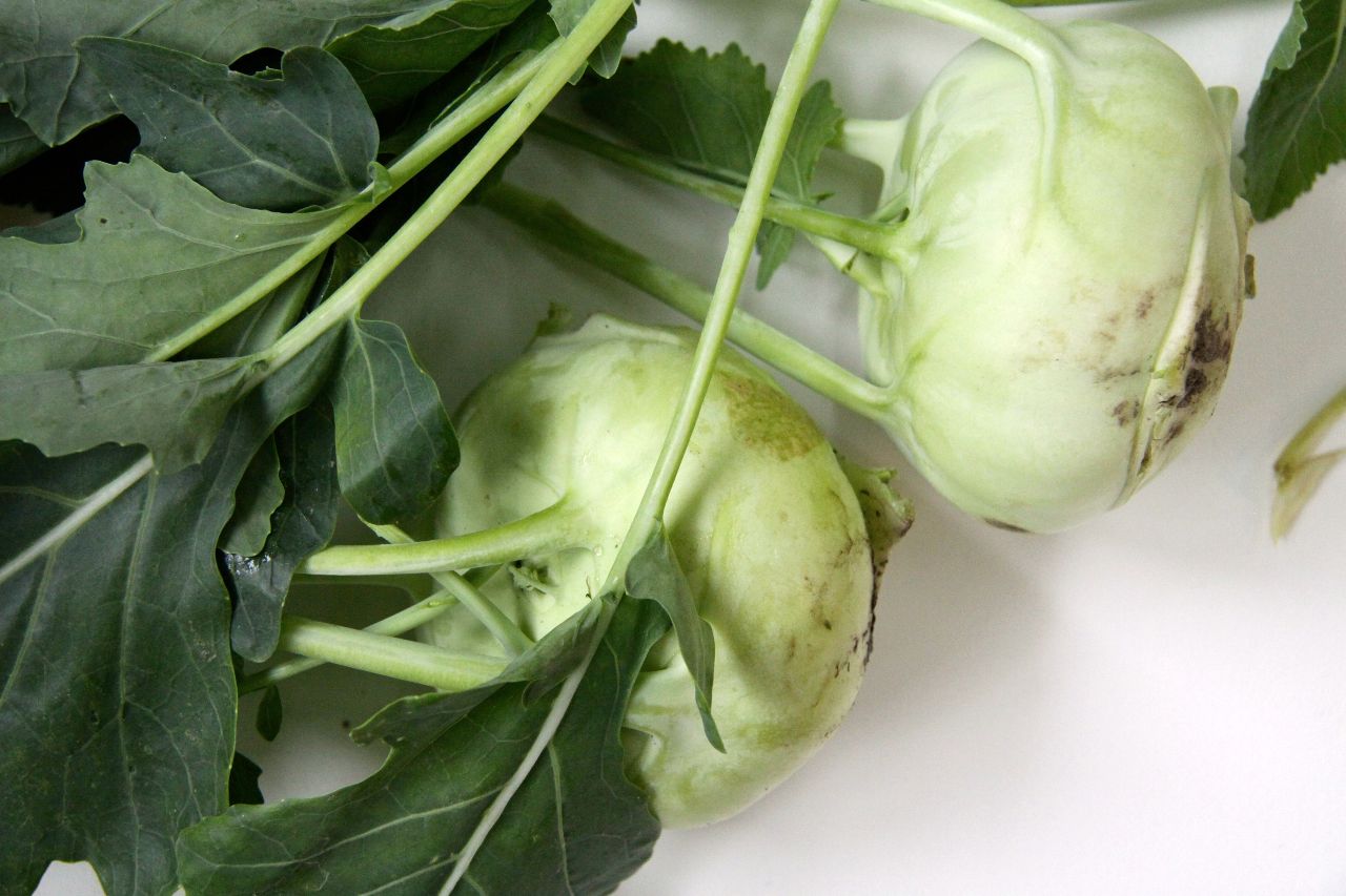 Kohlrabi