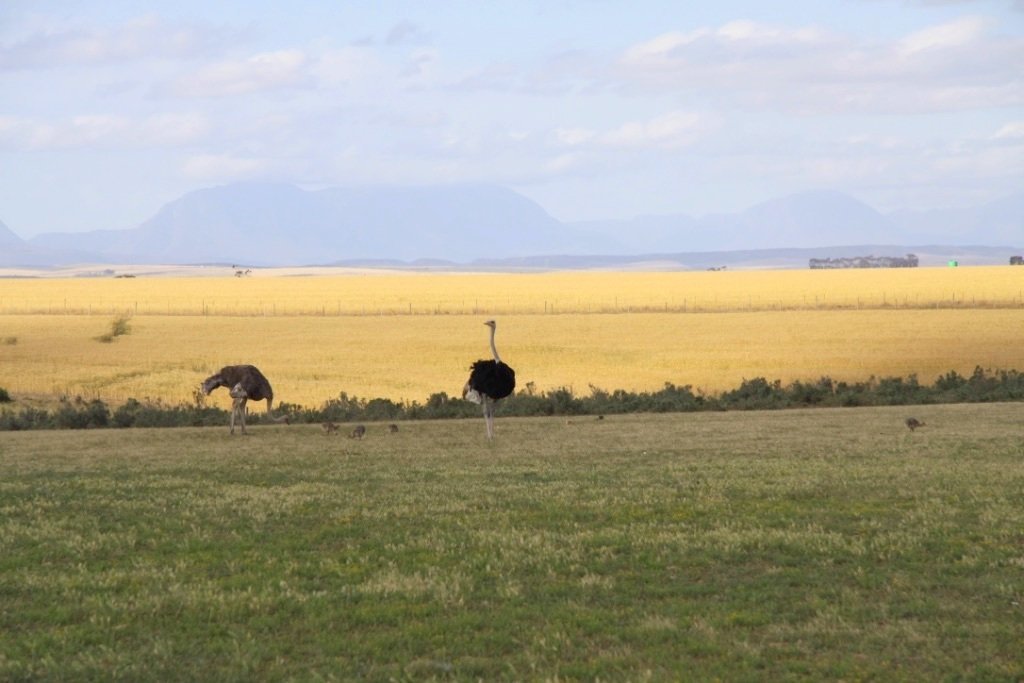 Landschaftsmalerei