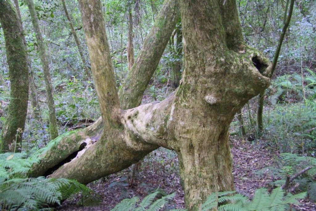 Landschaftsmalerei